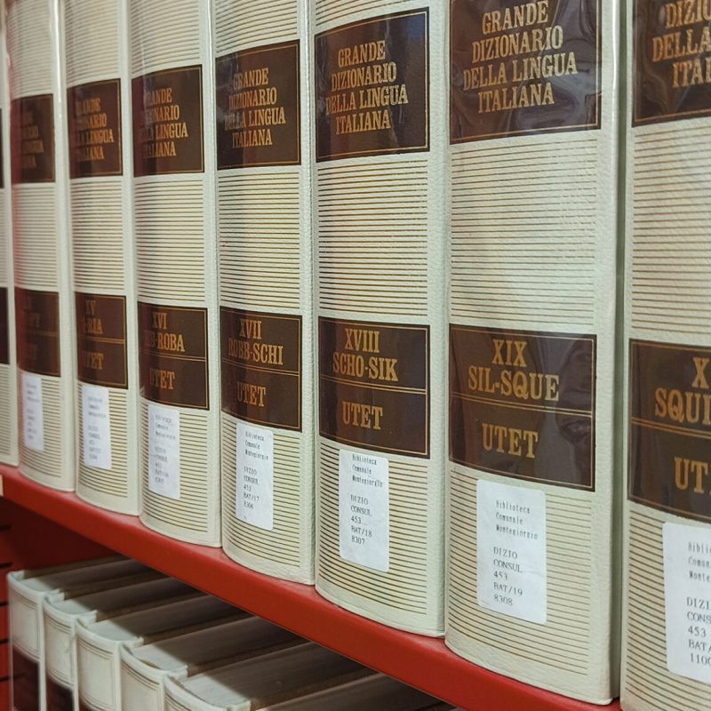 Volumi disponibili per il prestito bibliotecario
