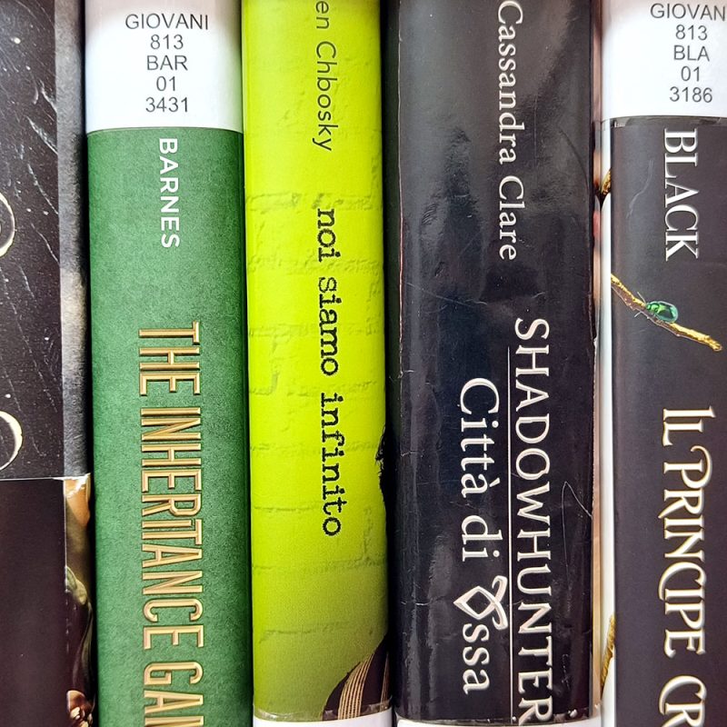 Libri per ragazzi disponibili al prestito